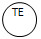 Temperature Element P&ID symbol