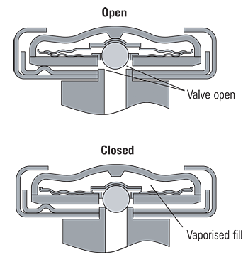 Balanced Pressure Steam Trap Working