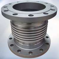 Expansion Joints