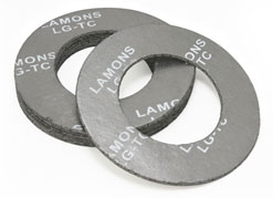 Flexible Graphite Gasket