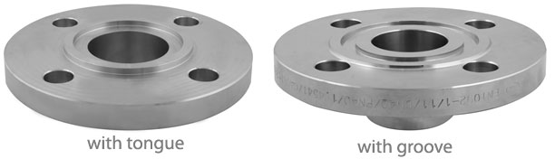 Tongue and Groove Flanges