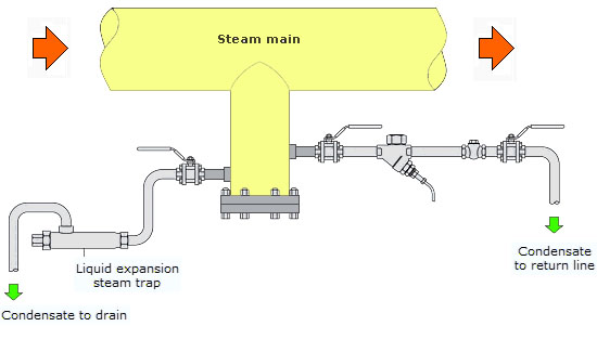 Typical Installation of Liquid Expansion Steam Trap