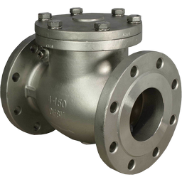 Swing Check Valve