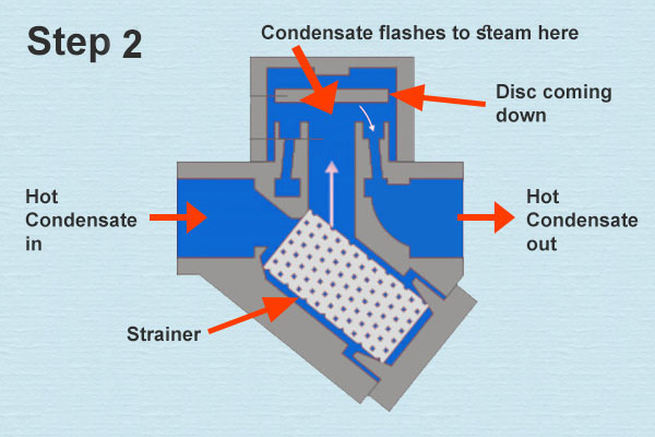 Thermodynamic Steam Trap Step 02