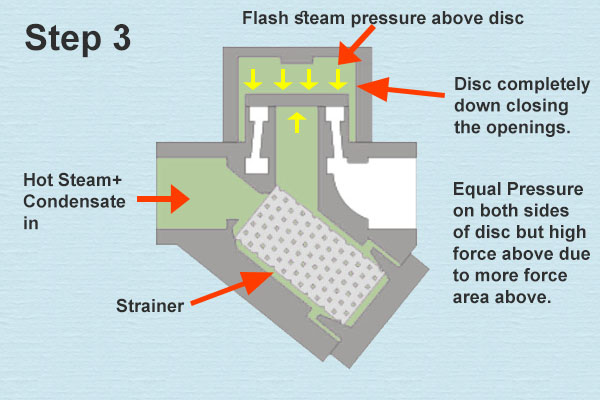 Thermodynamic Steam Trap Step 03