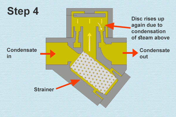 Thermodynamic Steam Trap Operation Step 4